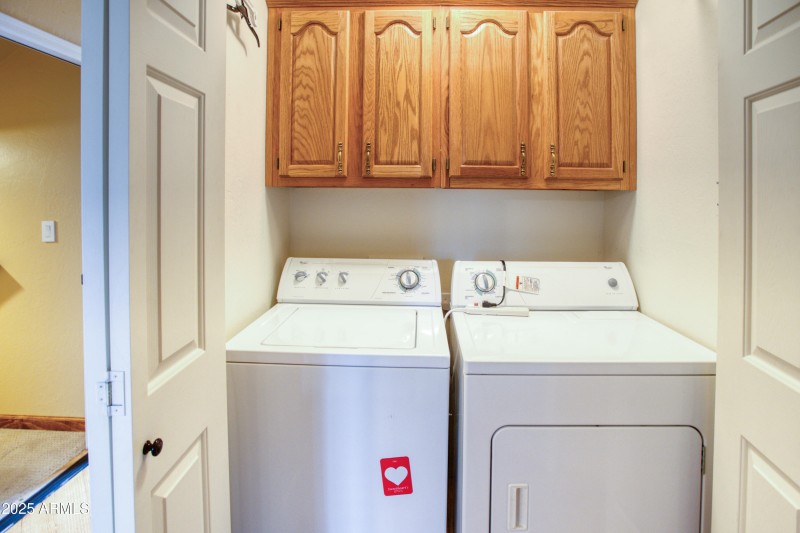 Paxmanphoto_PAX_8831