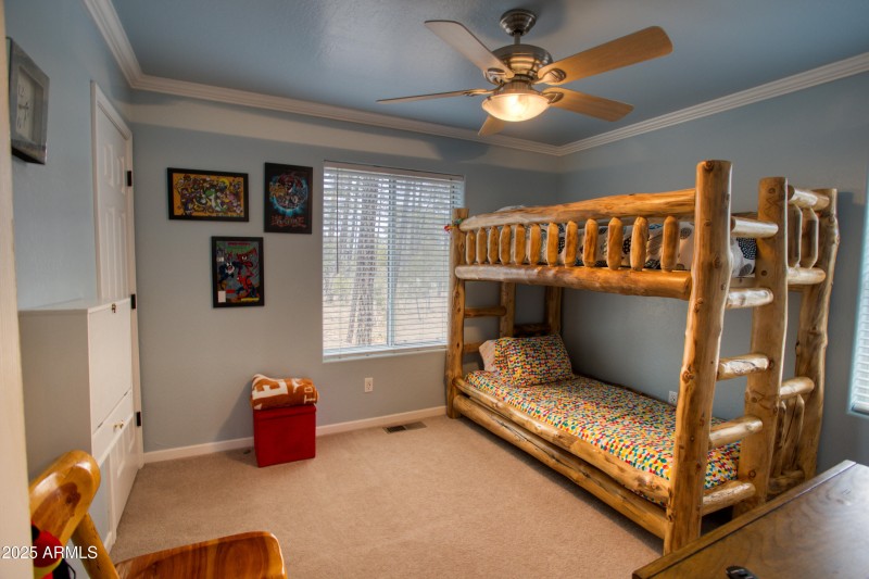 Paxmanphoto_PAX_8813