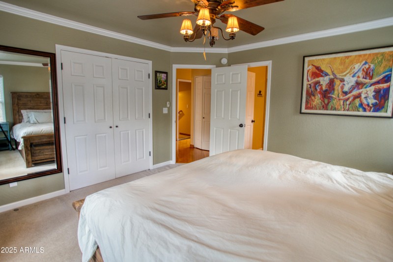 Paxmanphoto_PAX_8819