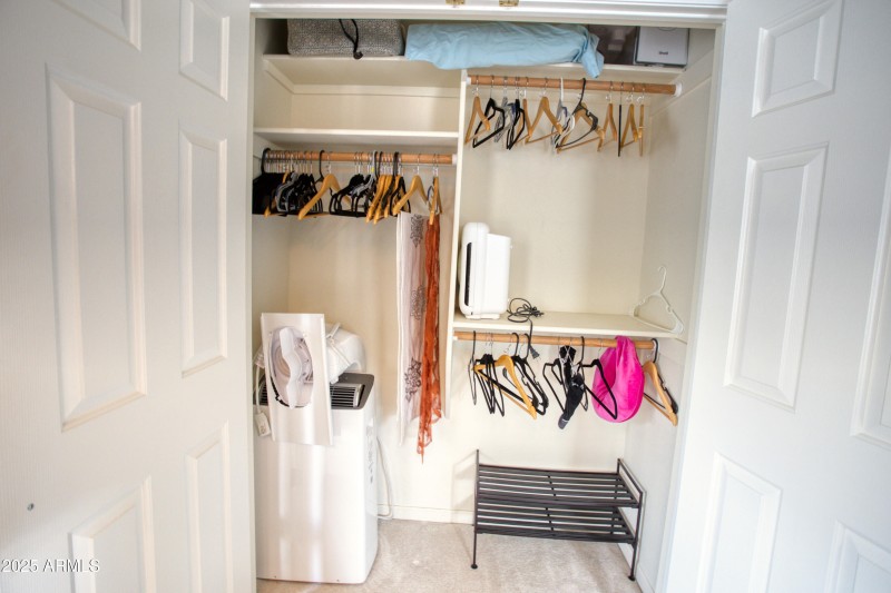 Paxmanphoto_PAX_8828