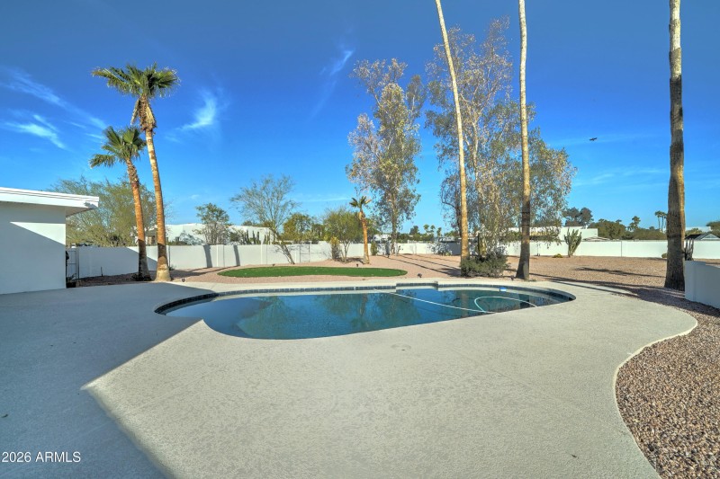 Huge backyard & sparkling blue pool