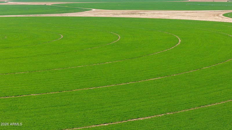 9-web-or-mls-DJI_20260306113421_0011_D