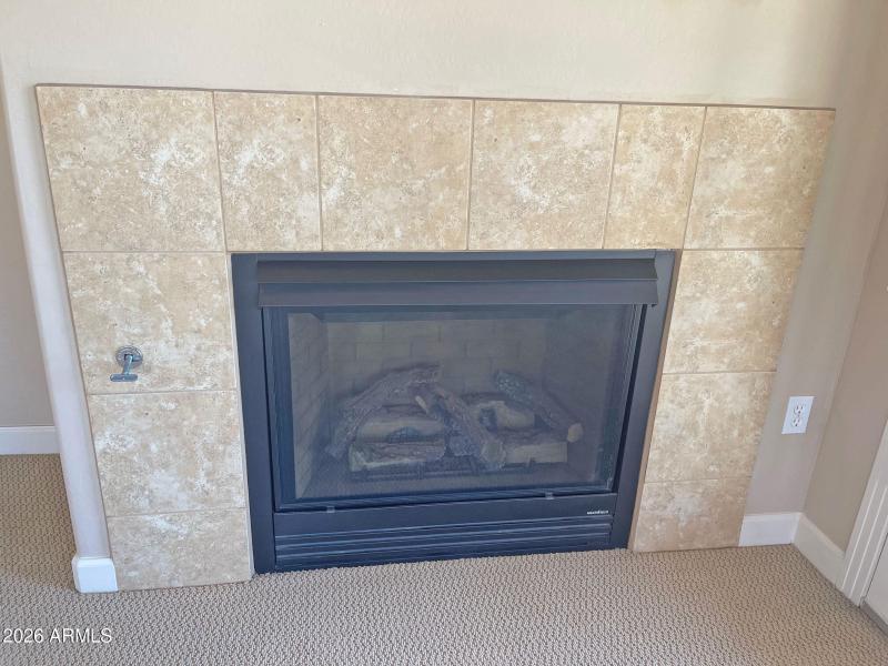 GAS-FIREPLACE