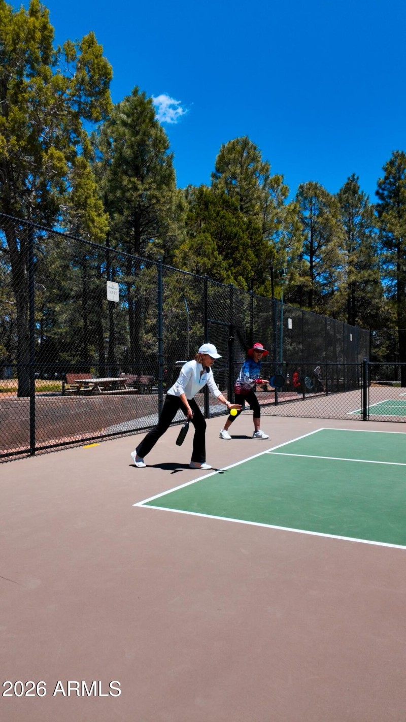 Pickleball 2
