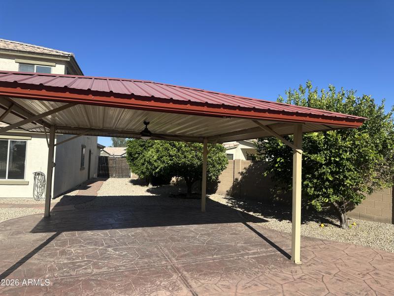1st side yard with citrus trees