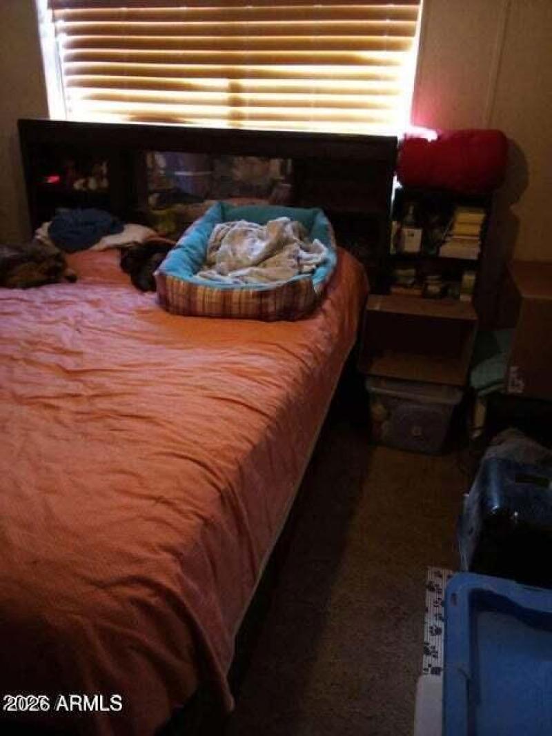 20250226205846981488000000-o