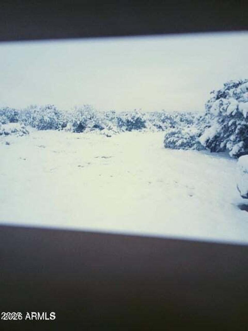 20250422235025650943000000-o