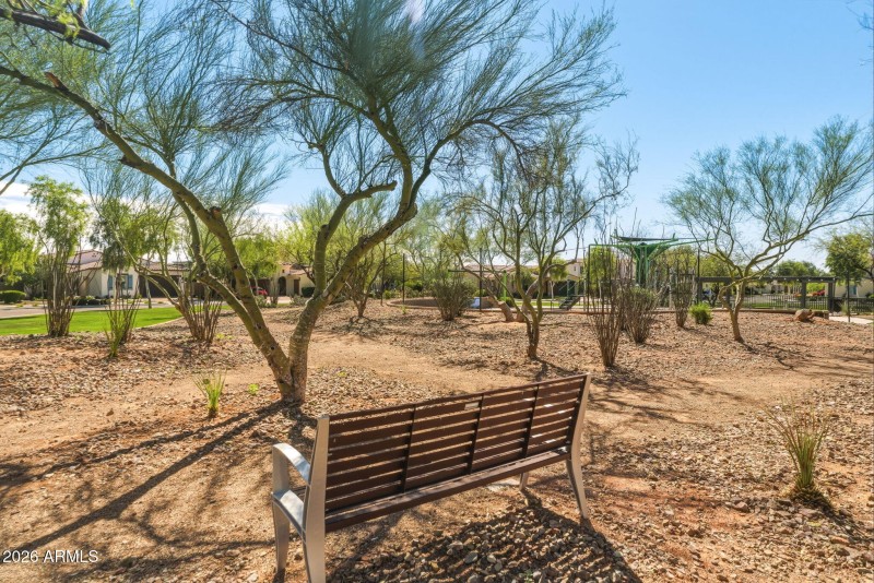 Community Playground