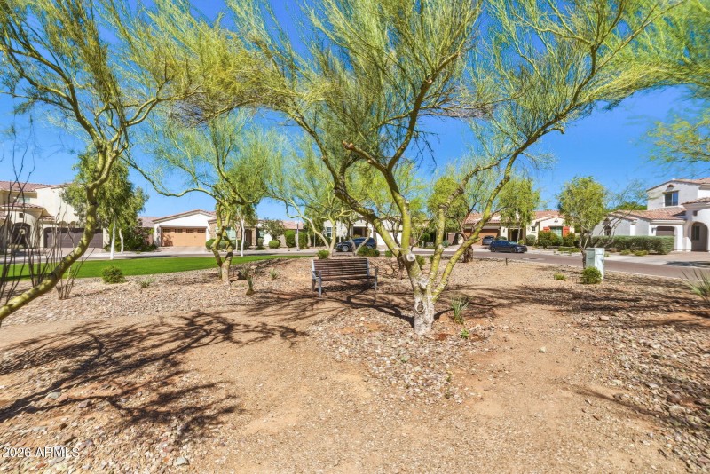 Community Playground