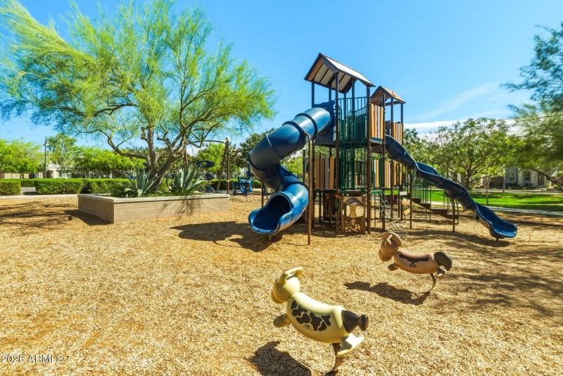 Community Playground