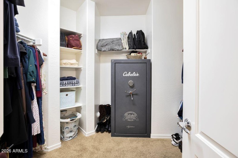 gambit trail primary walk in 1