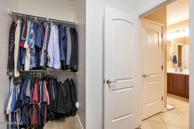 gambit trail primary walk in 2