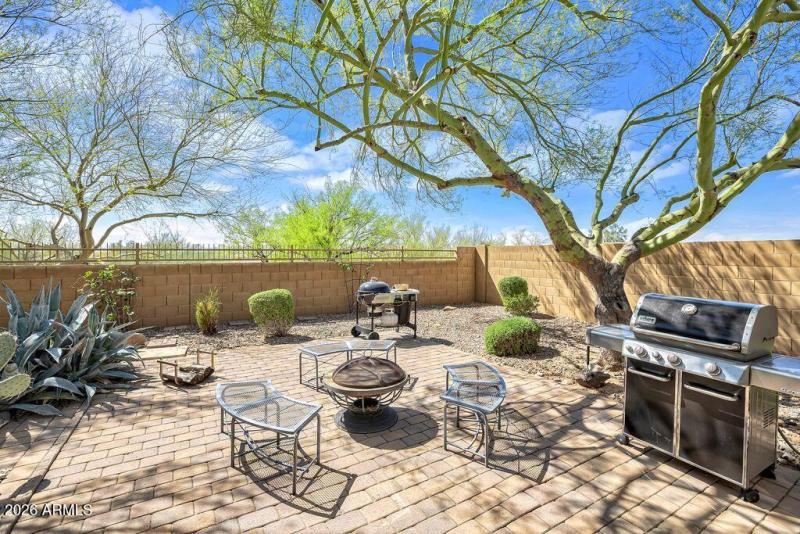 gambit trail backyard 1