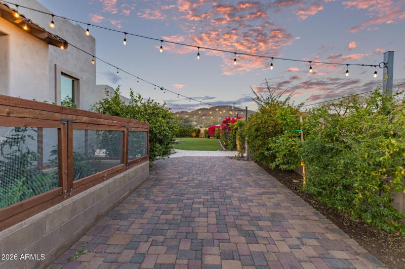 Citrus trees and mature shrubs