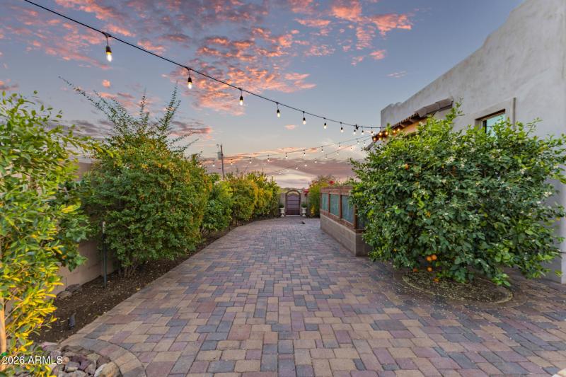 citrus trees and garden