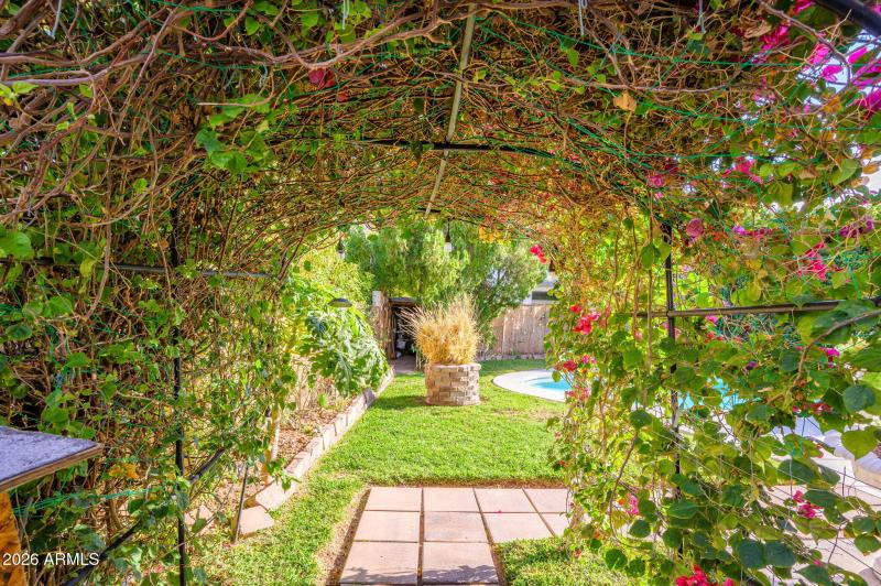 33-web-or-mls-Aspen-39