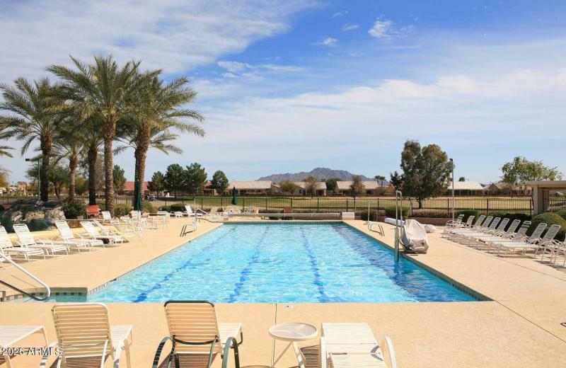 Springfield-Community Lap Pool