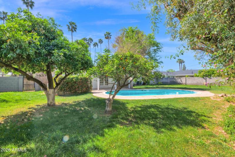 39-web-or-mls-P1558290