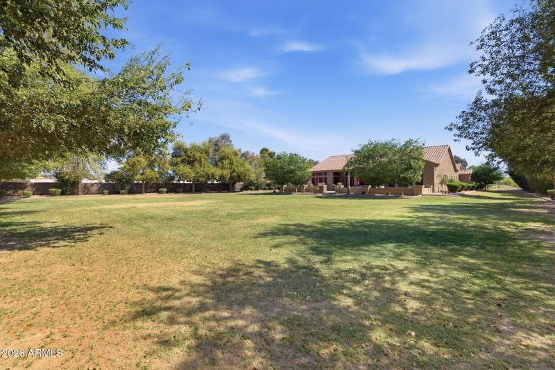 Large Grass Irrigated Backyard