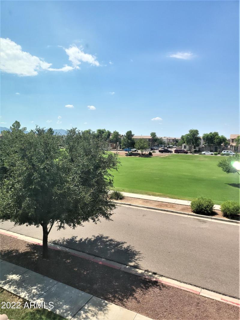 View of park from master