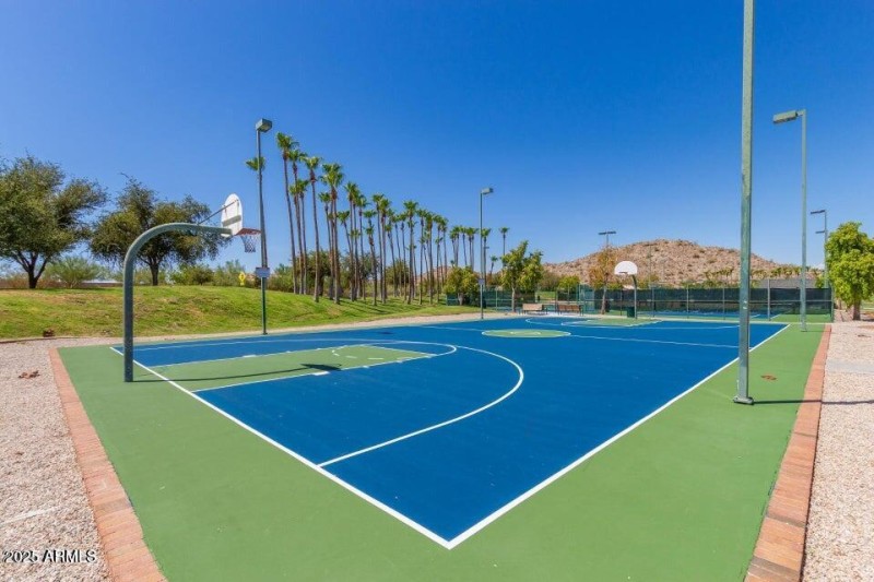 Basketball Court