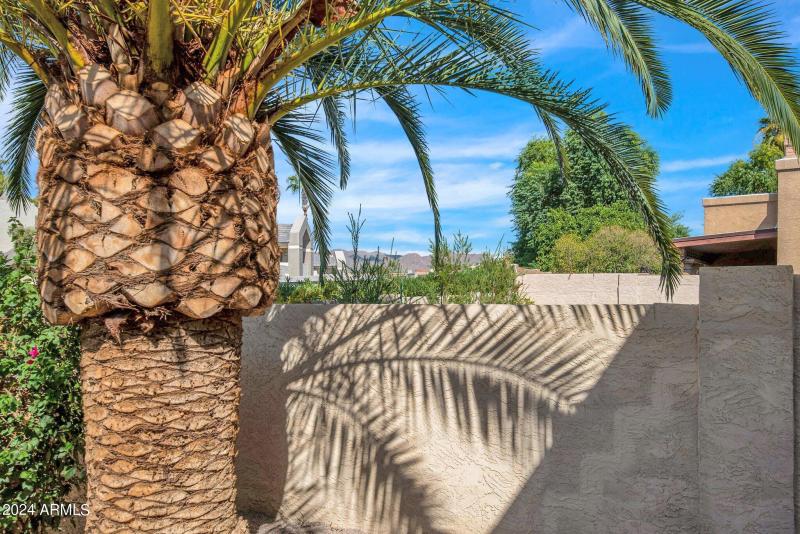 10460 E Fanfol Lane, Patio 3