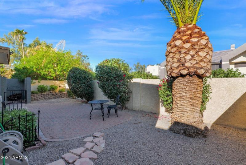 10460 E. Fanfol, Backyard 2