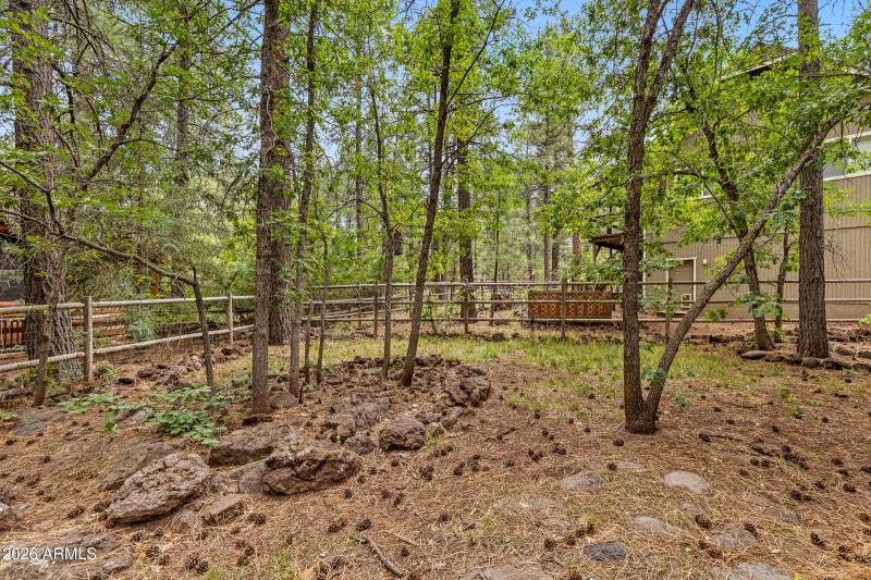 2025-10-12 16.16.54-1