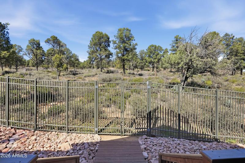 Backs National Forest (1)