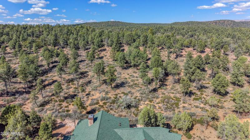 Backs National Forest (2)