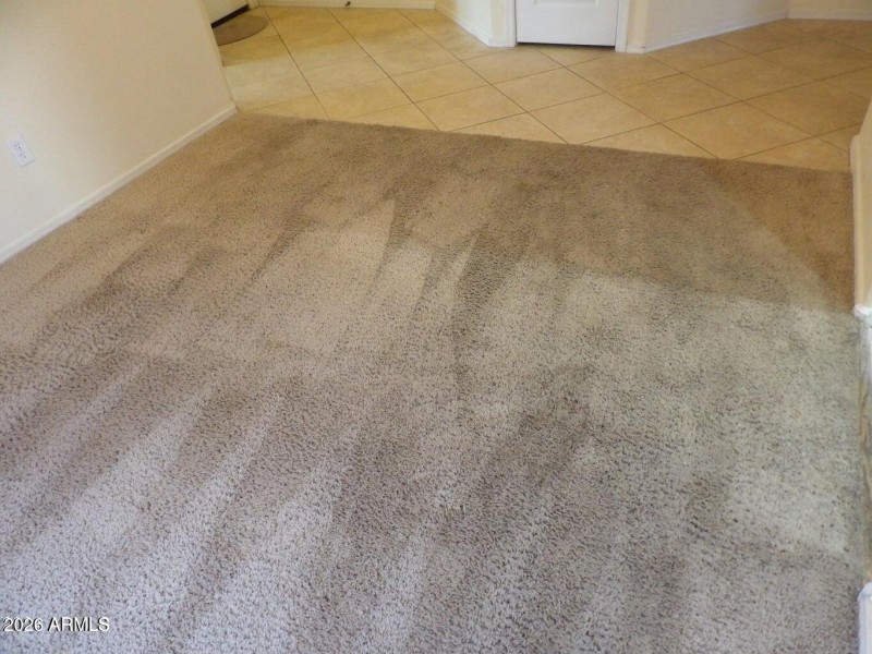 20241227173052474188000000-o