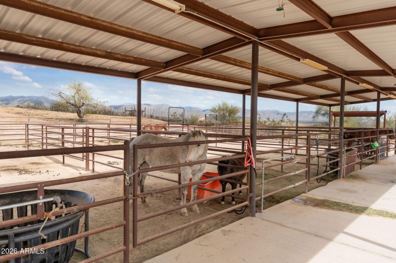 21-web-or-mls-DSC00007