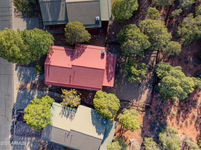 PaxmanPh_DJI_20260309024654_0216_D