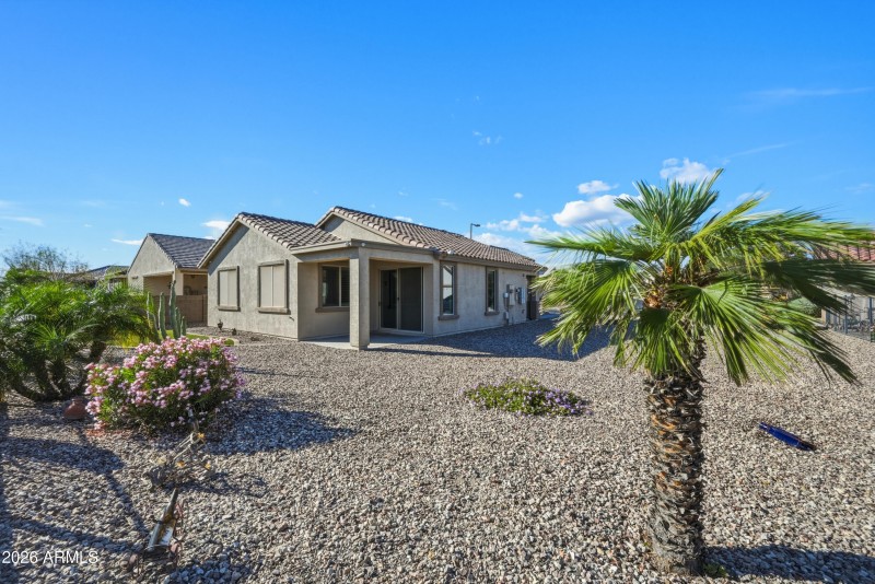 South Facing Backyard