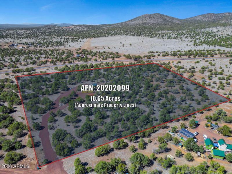 19-web-or-mls-IMG_5017