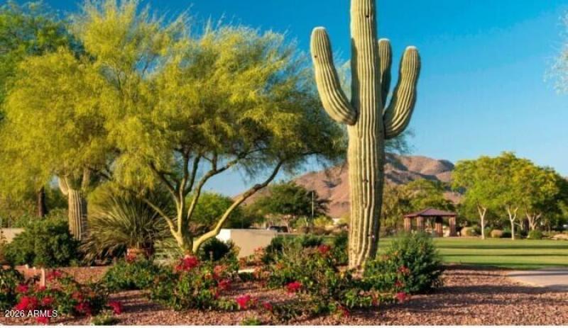 Anthem Community Photo 8