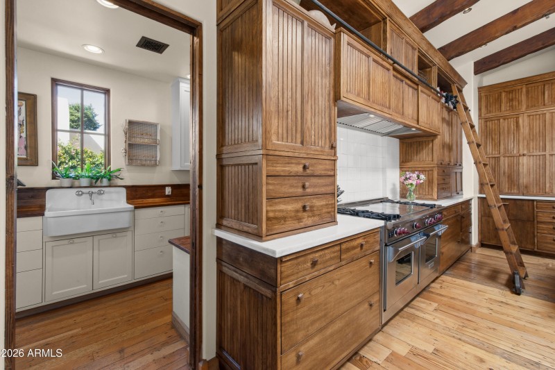 8131EAppaloosa_ws_int (9)