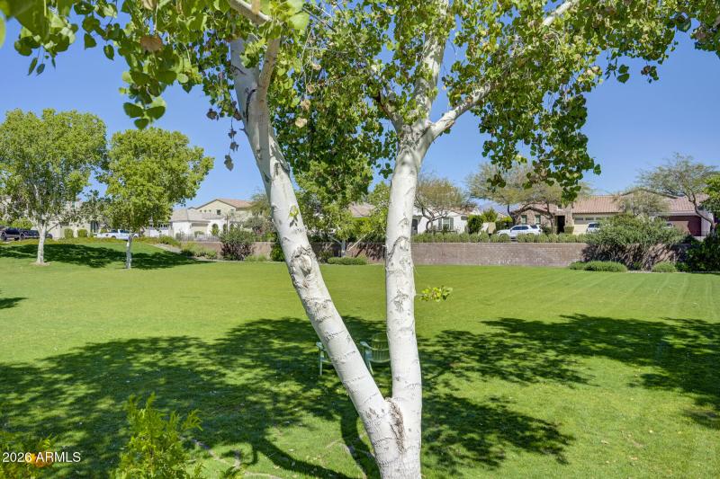 4602 S Flare exteriors-10