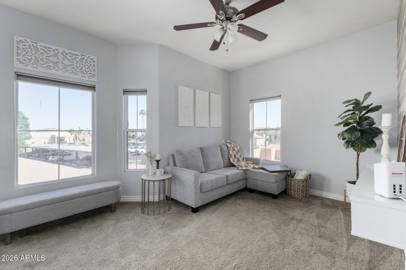 Den with Natural Light