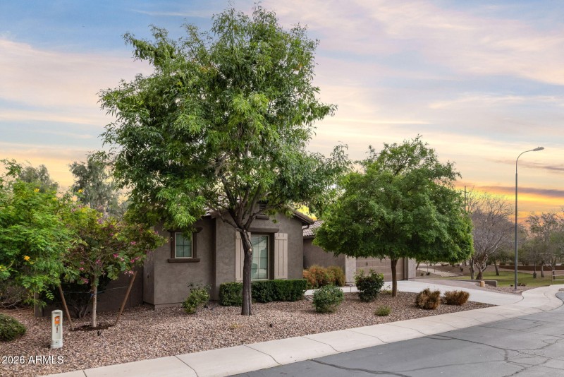 69-web-or-mls-260309-2445-W-Wildhorse-Dr