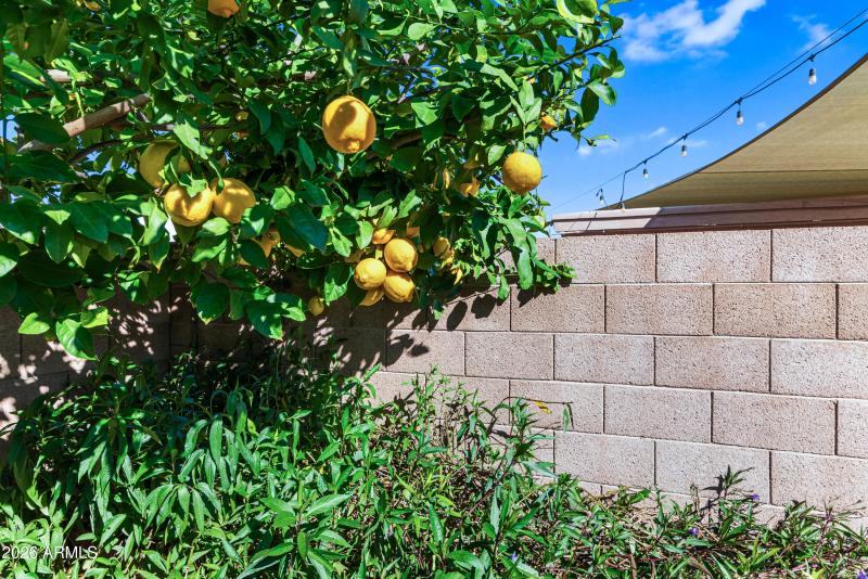 33_4104 w fallen leaf ln-32