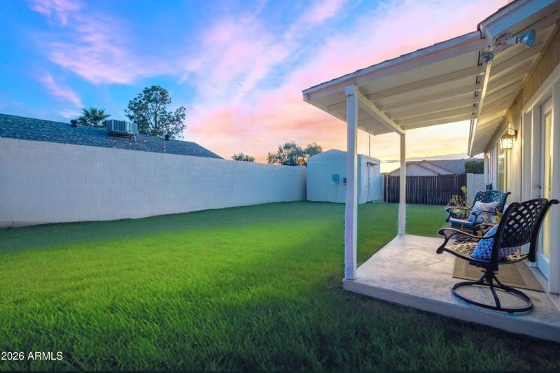 Backyard Reimagined w/ Grass