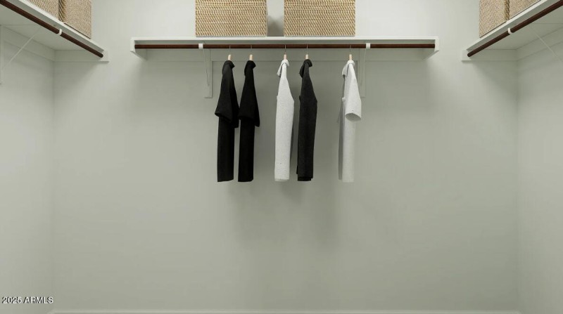 Owners Walk in Closet