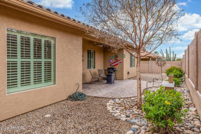 Low-maintenance Backyard