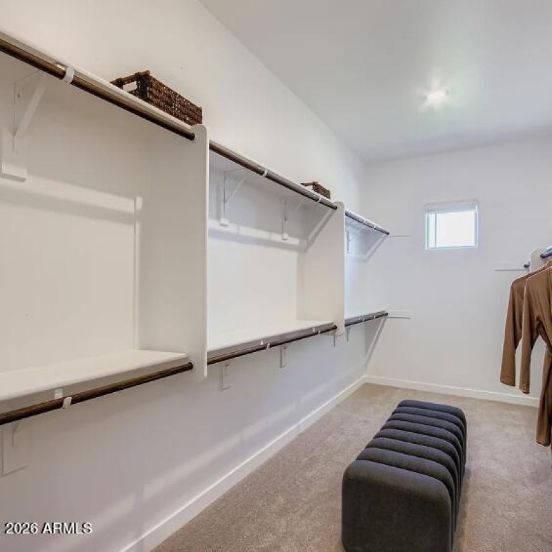 Owners Walk in Closet