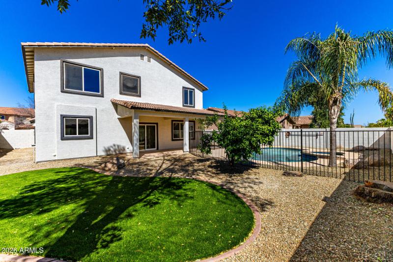 Mature Landscaping and Citrus Trees