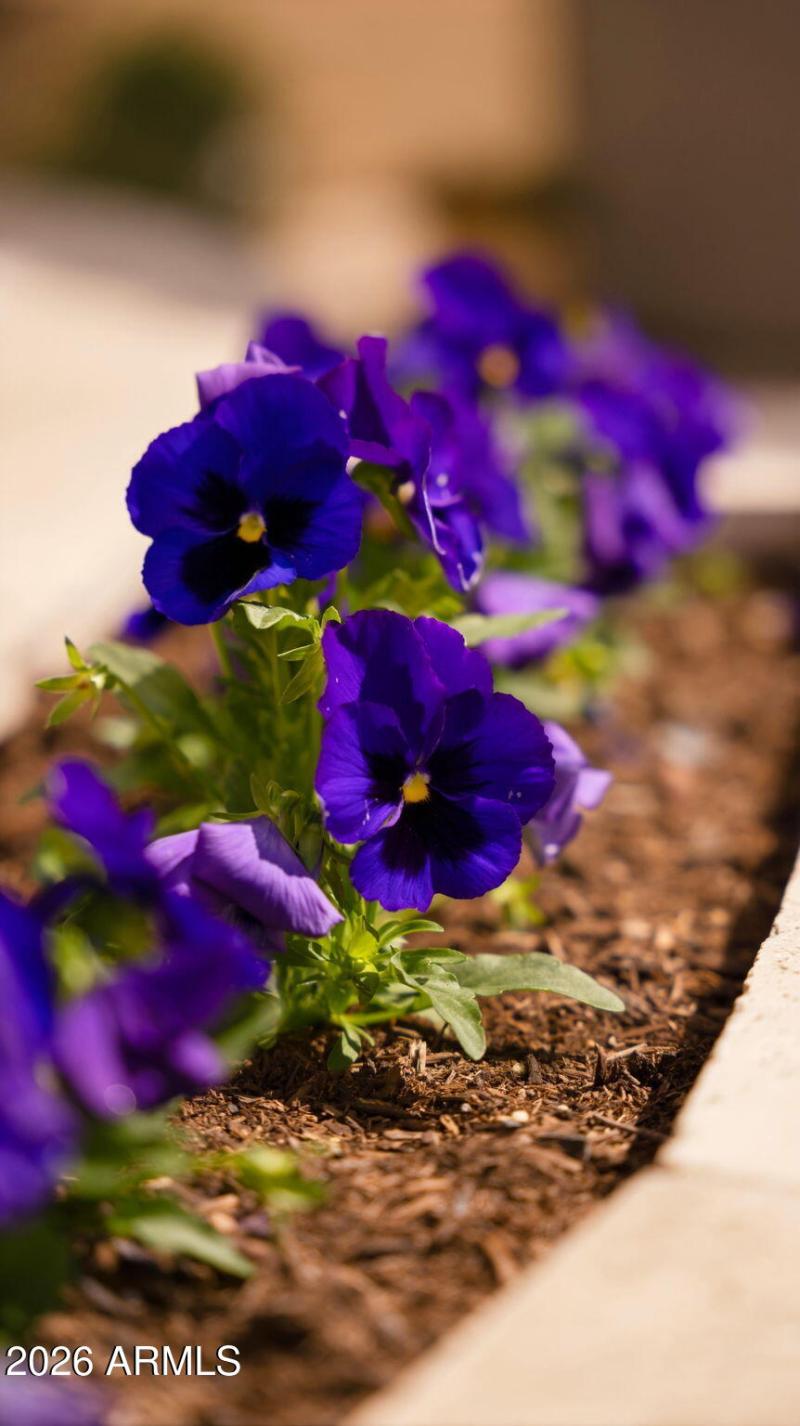 34-web-or-mls-P1487158