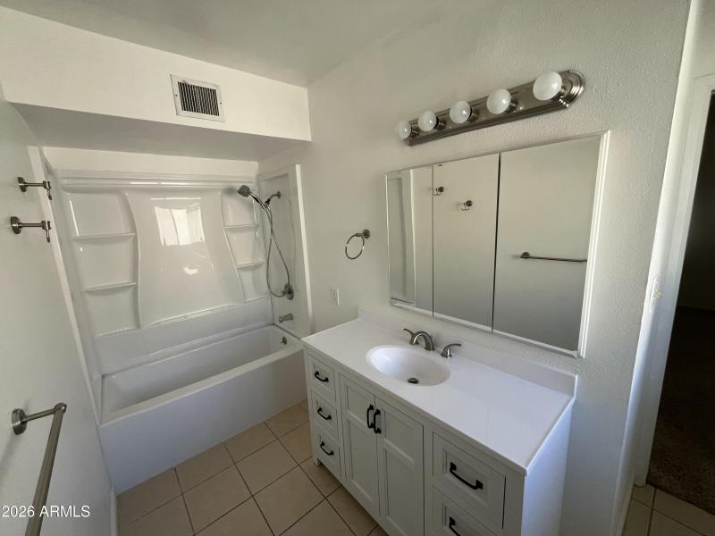 Master bath shower sink view