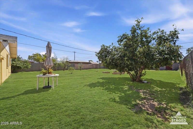 28-Backyard (grass replacement)