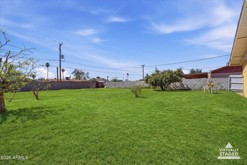 30-Backyard (grass replacement)